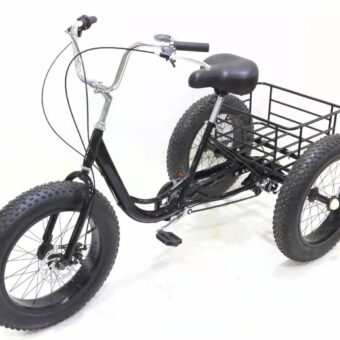 Triciclo Todo Terreno Aro 20"x4"
